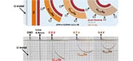 Nuclear Materials Laboratory (NML)